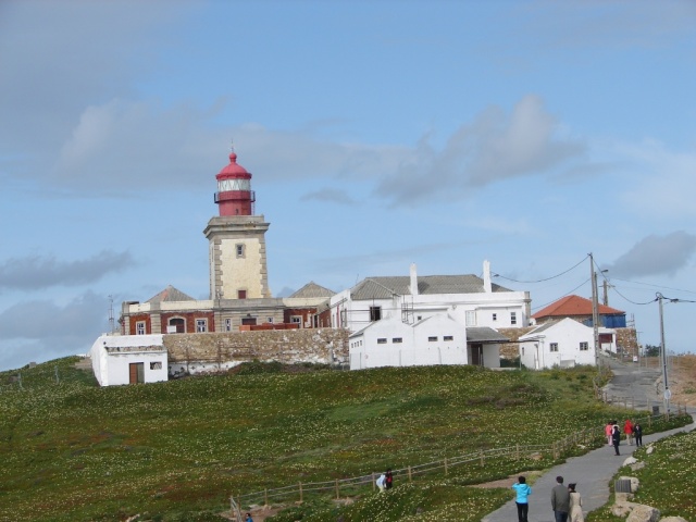 pretty lighthouse and wild flowers.jpg
